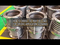 धनुष का चयन